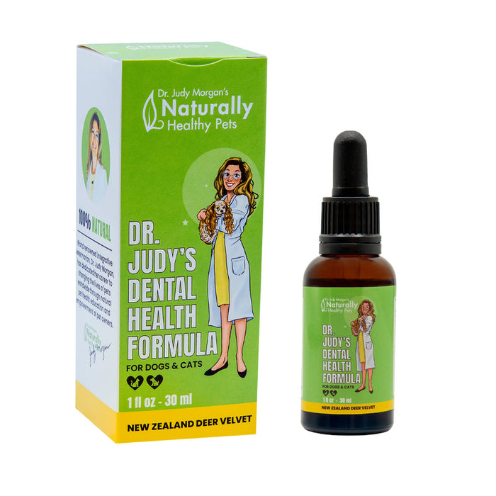 Dr. Judy Morgan's Dental Health Formula for Dogs & Cats 1 fl oz - 30 ml