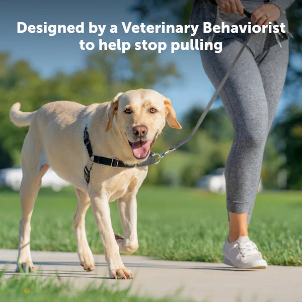 PetSafe Dog Easy Walk Harness, Red