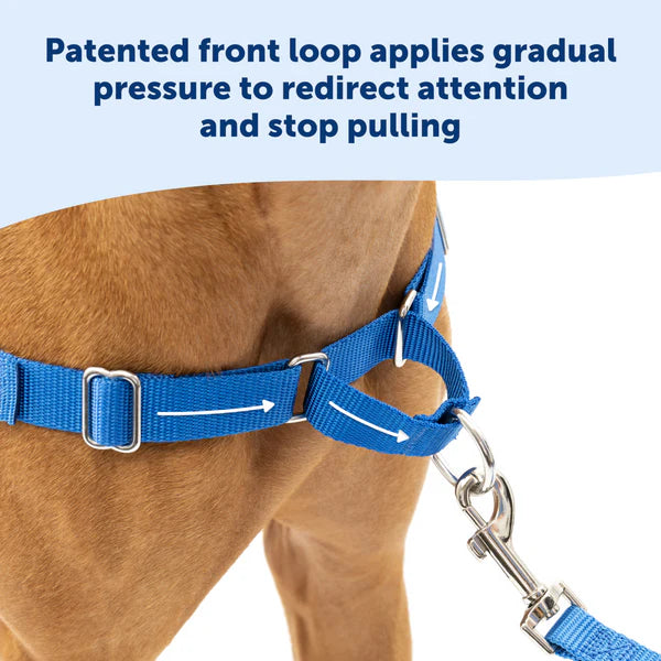 PetSafe Dog Easy Walk Harness, Red
