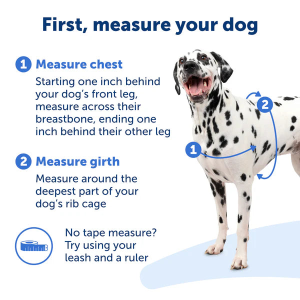 PetSafe Dog Easy Walk Harness, Red