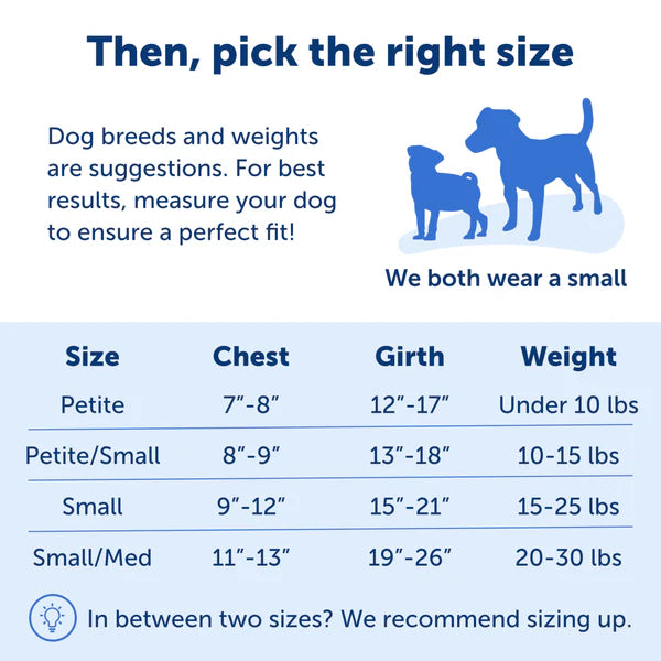PetSafe Dog Easy Walk Harness, Red