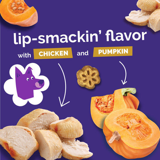 Fruitables Skinny Minis Chewy Dog Treats Rotisserie Chicken