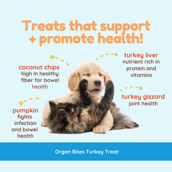 Coco Therapy Organ Bites Dog Treats Turkey & Pumpkin