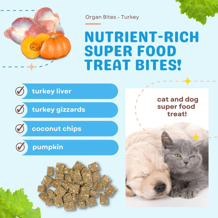 Coco Therapy Organ Bites Dog Treats Turkey & Pumpkin