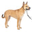 PetSafe Dog Gentle Leader Head Collar, Black,