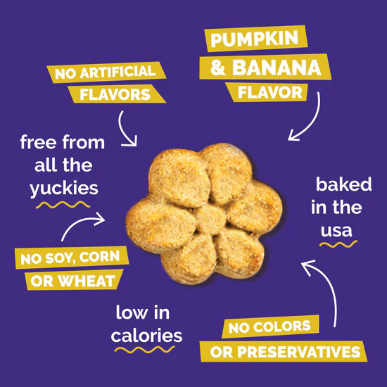 Fruitables Crunchy Dog Treat Pumpkin Banana