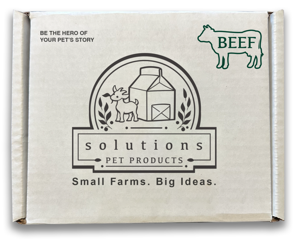 Solutions Pet Products Frozen Raw Adult Dog Food Beef Recipe