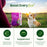 Small Batch Cat & Dog Freeze Dried Food Small Bites Chicken
