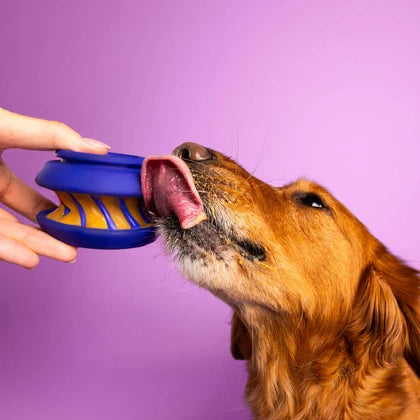Wag Lab Play Stack Dog Toy The Slobber Blue