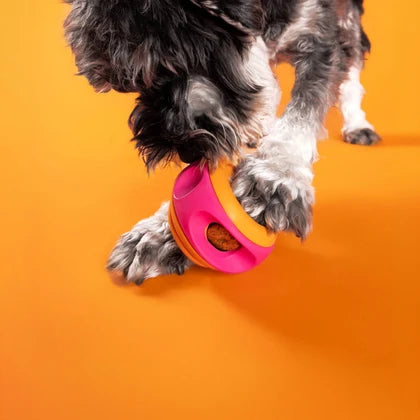 Wag Lab Play Stack Dog Toy The Spinner