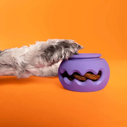 Wag Lab Play Stack Dog Toy The Squiggle