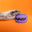 Wag Lab Play Stack Dog Toy The Squiggle