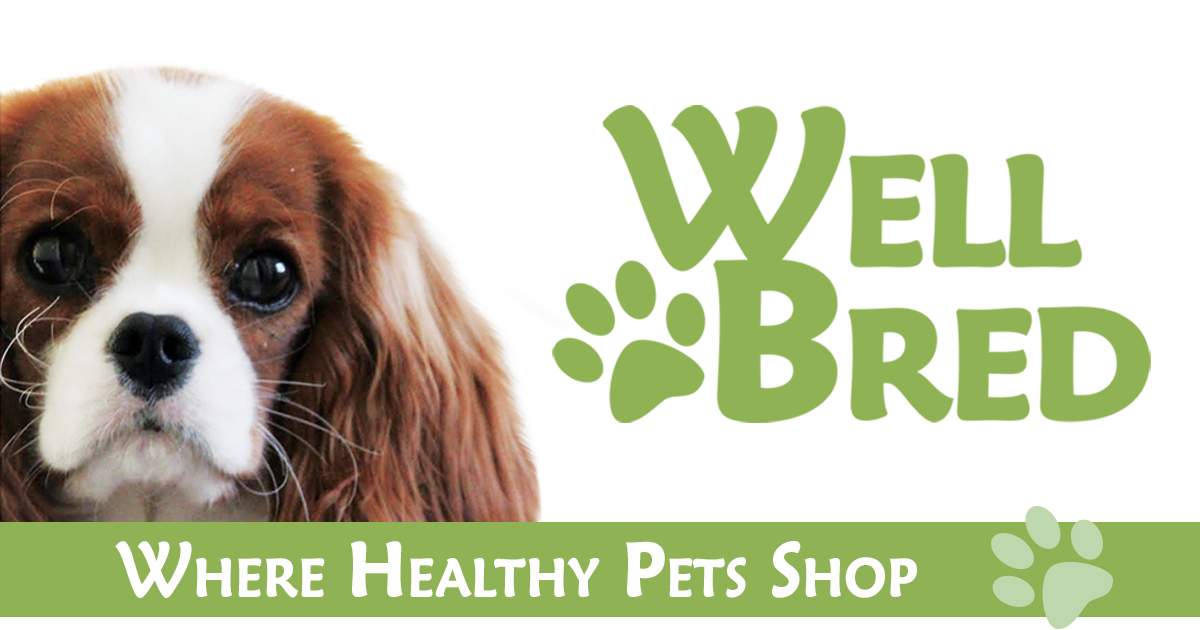 Small batch dog food cost outlet