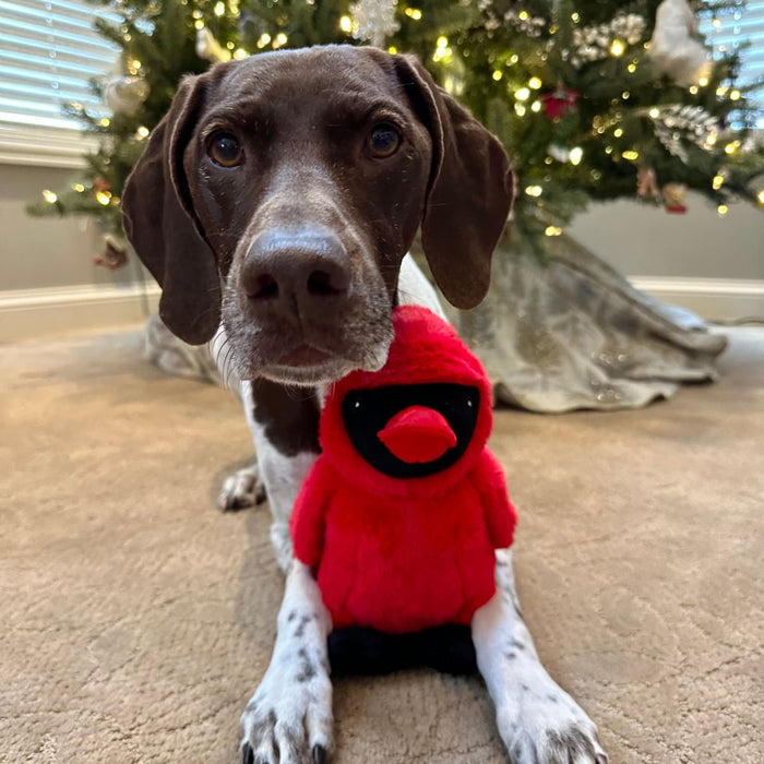 Plush Squeaker Animated Cardinal 11"