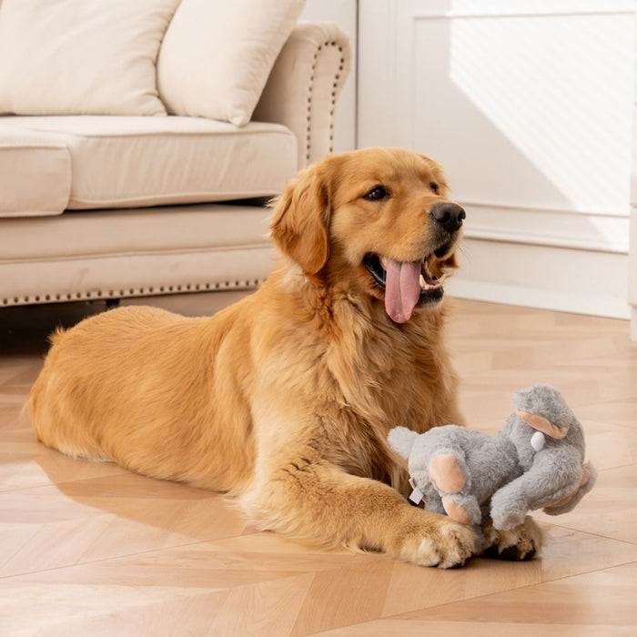 Tall Tails Plush Squeaker Dog Toy, Animated Elephant, 8.5