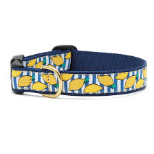 Up Country Dog Collar Make Lemonade