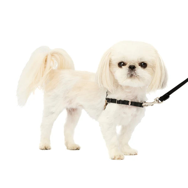 PetSafe Dog Easy Walk Harness, Red