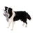 Tall Tails Plush Rope Dog Toy Jointed Shark, 14"