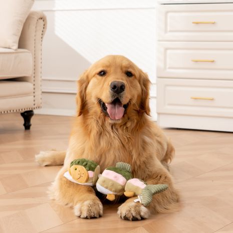 Tall Tails Plush Rope Dog Toy Jointed Trout, 14"