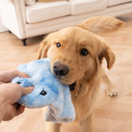 Tall Tails Plush Squeaker Dog Toy, Animated Manta Ray, 8.5