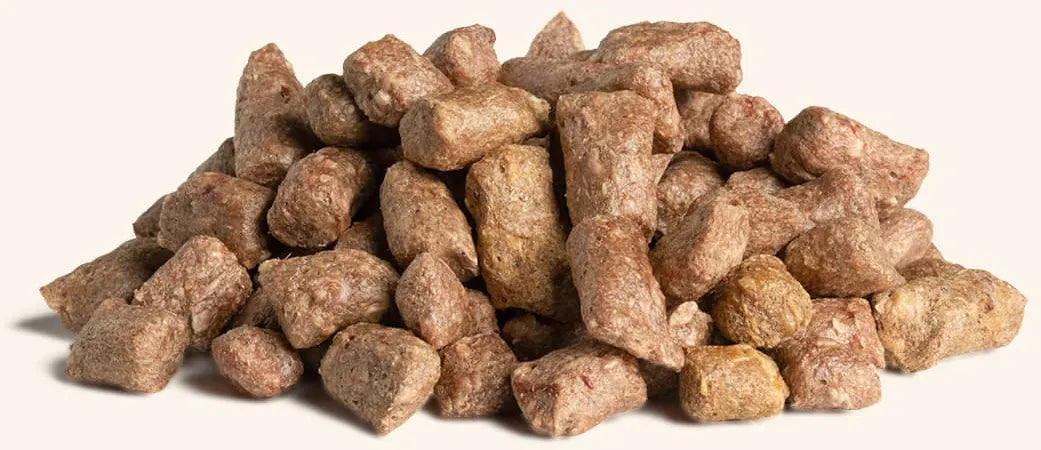 Vital Essentials Dog Freeze Dried Food Beef Mini Nibs