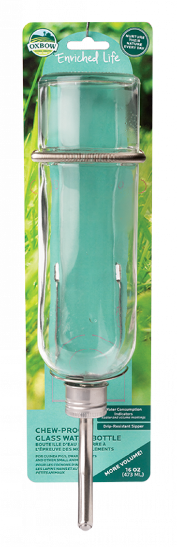 Small Pet Bowls & Feeders
