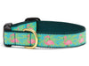 Up Country Dog Collar Flamingo