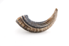 Icelandic Lamb Horn Dog Chew, Large