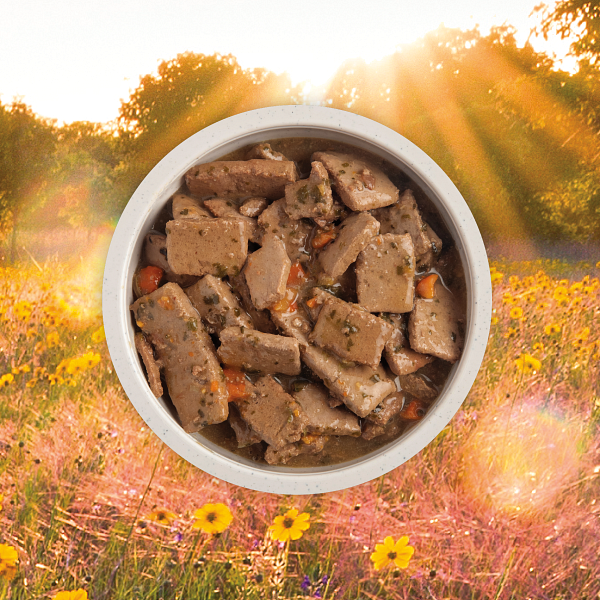 Acana Grain Free Dog Can Food Premium Chunks Lamb Recipe