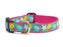 Up Country Dog Collar Reef