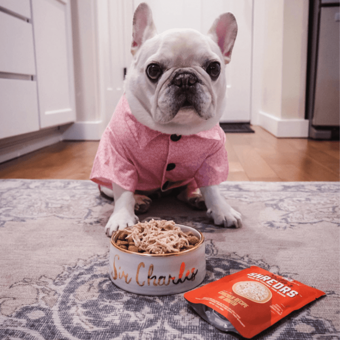 Stella & Chewy's Shredrs Pouch Dog Food Chicken Dinner in Broth
