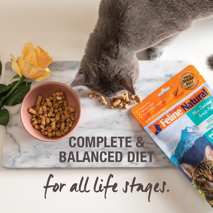 K9 top cat food