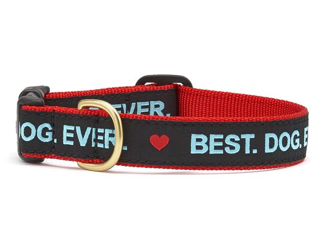 Up Country Dog Collar Best Dog Ever