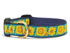 Up Country Dog Collar Bright Sunflower
