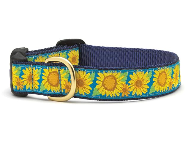 Up Country Dog Collar Bright Sunflower