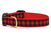 Up Country Dog Collar Buffalo Check