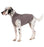 Gold Paw Dog Stretch Fleece, Large Sizes (18-26)