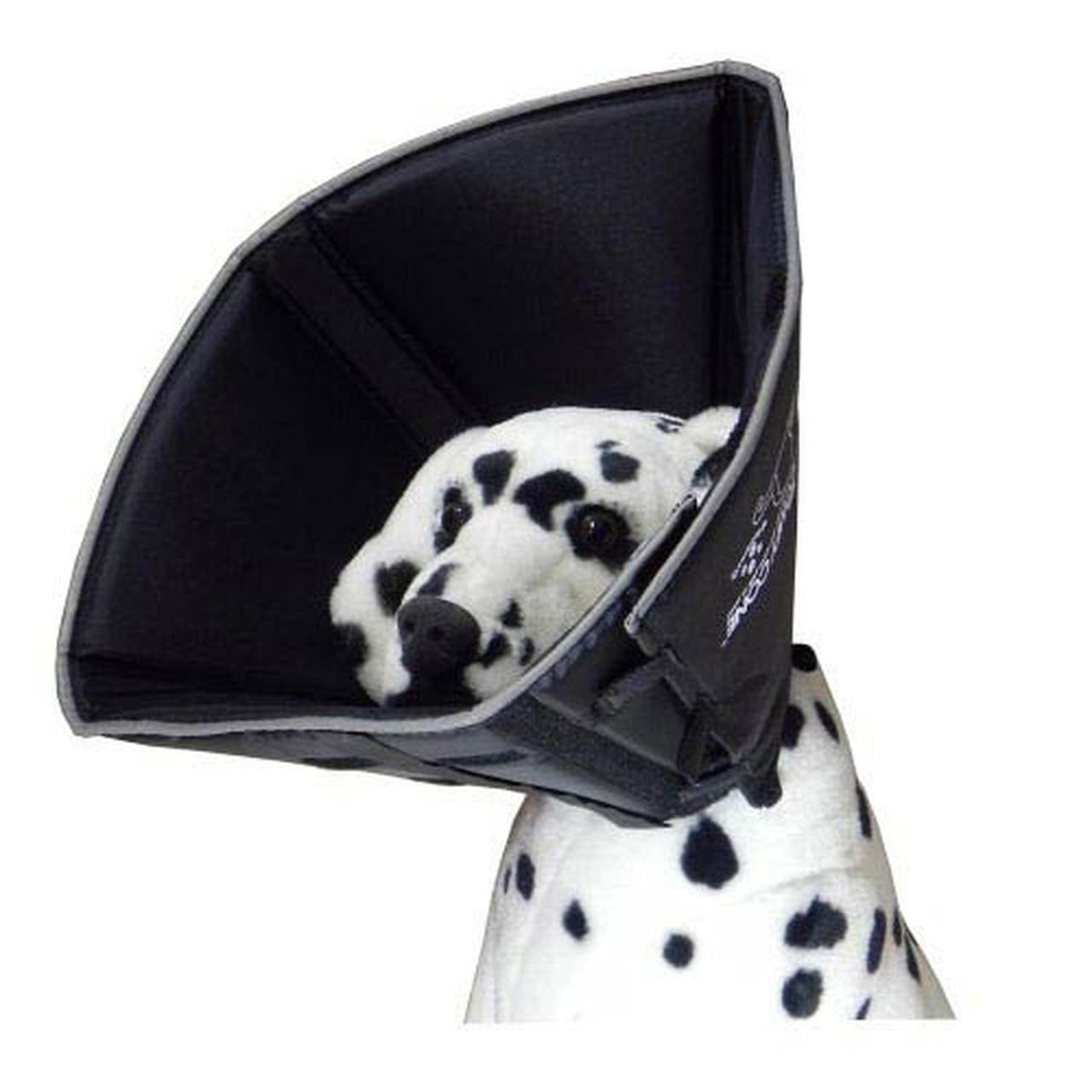 Cone clearance dog bed