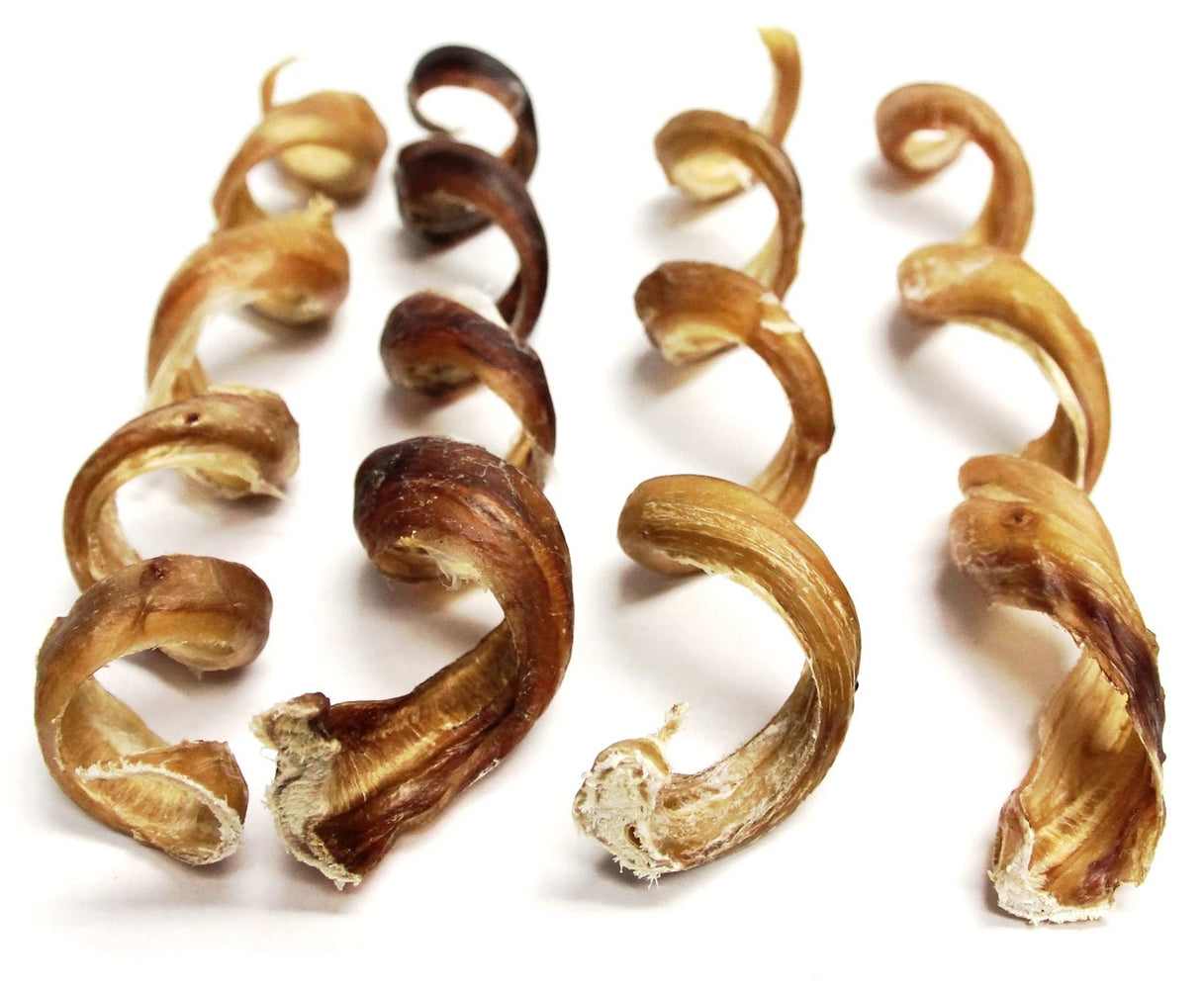 Jones Bone Dog Chew Curly Q Bully