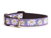 Up Country Dog Collar Daisy