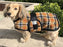 Foggy Mountain Dog Coat Snuggler, Medium Sizes (13-16)