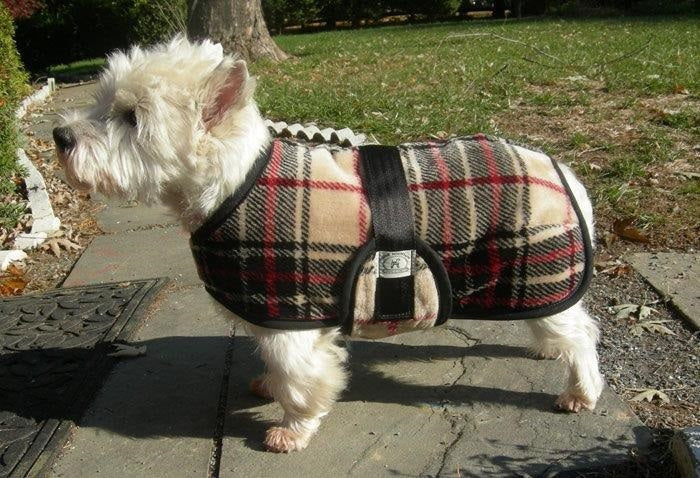 Foggy Mountain Dog Coat Snuggler, Small Sizes (8-12)