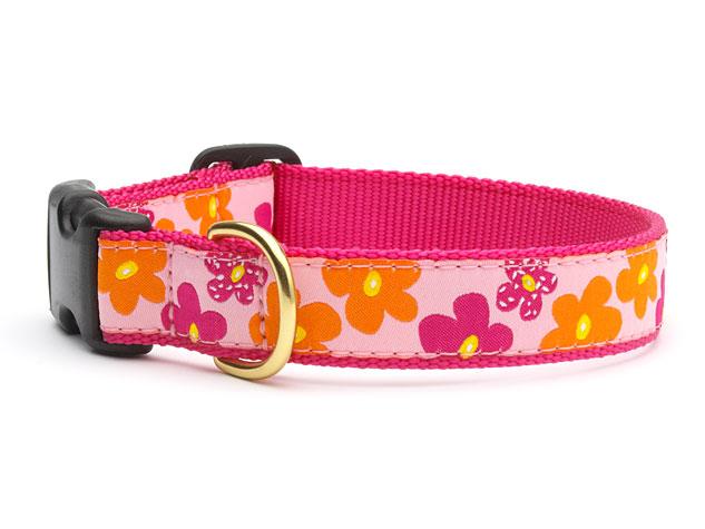 Up Country Dog Collar Flower Power