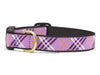 Up Country Dog Collar Lavender Lattice