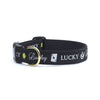 Up Country Dog Collar Lucky