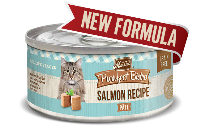 Merrick Purrfect Bistro Cat Can Food Salmon Pate