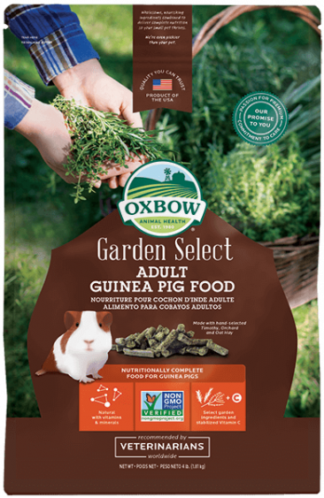 Guinea pig food online deals
