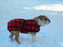 Foggy Mountain Dog Coat Snuggler, Small Sizes (8-12)