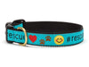 Up Country Dog Collar #Rescue