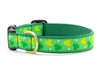 Up Country Dog Collar Shamrock